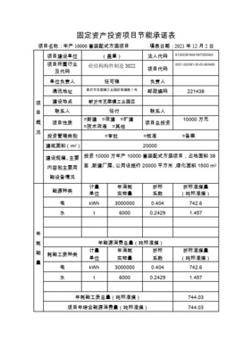 固定資產投資項目節能承諾表項目投資分析與填報指南